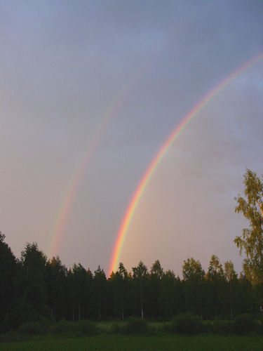 Sateenkaari Sateenkaari