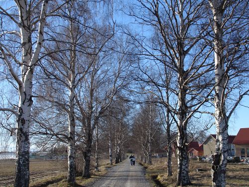 Promenaadi Promenaadi